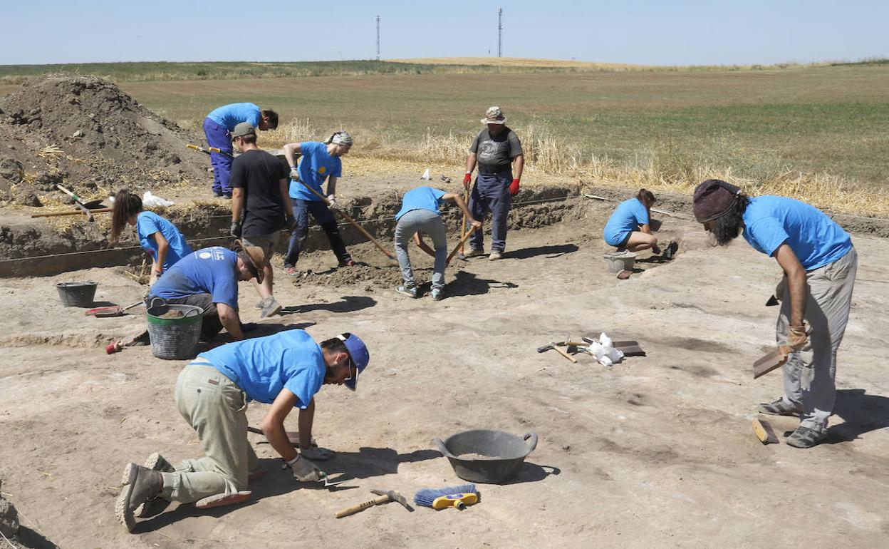 Voluntarios trabajando en las excavaciones en el yacimiento de Intercatia, en Paredes de Nava, el pasado año. 