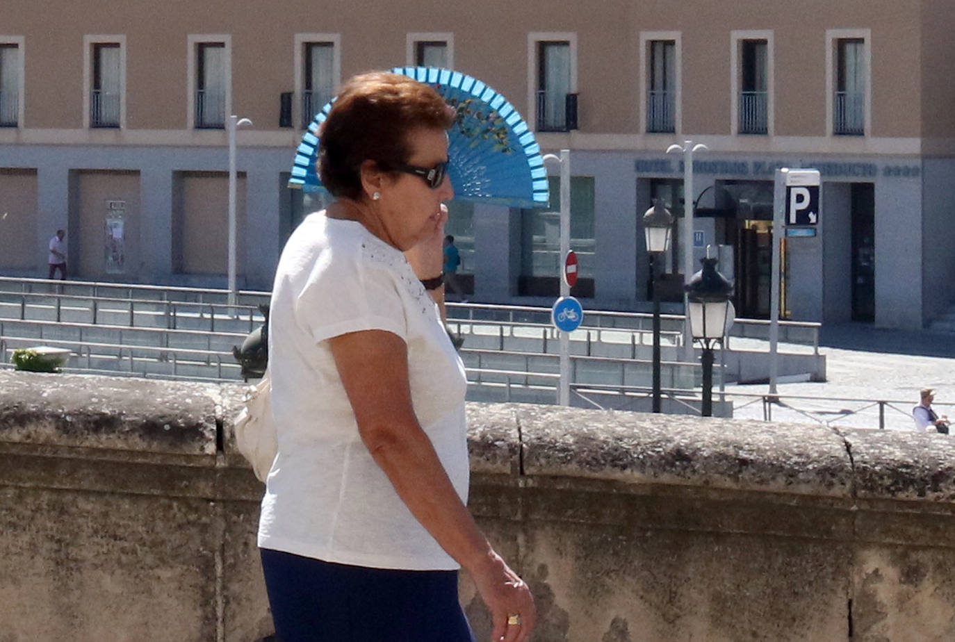 Fotos: Vuelve la ola de calor a Segovia
