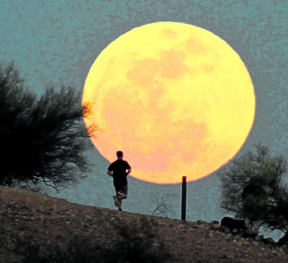 Hechizados por la Luna