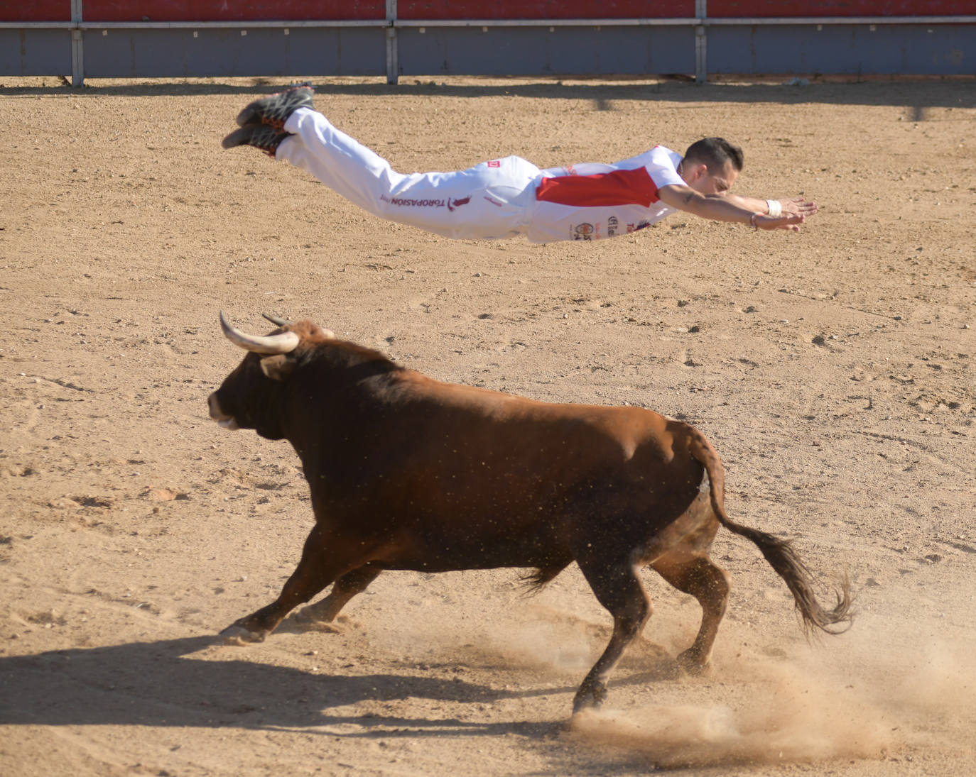 Fotos: Concurso de cortes en Matapozuelos