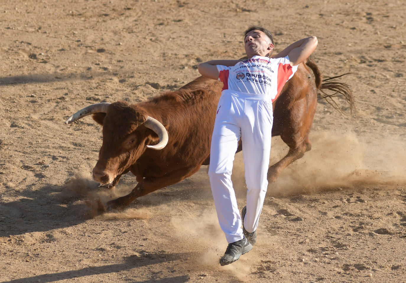 Fotos: Concurso de cortes en Matapozuelos