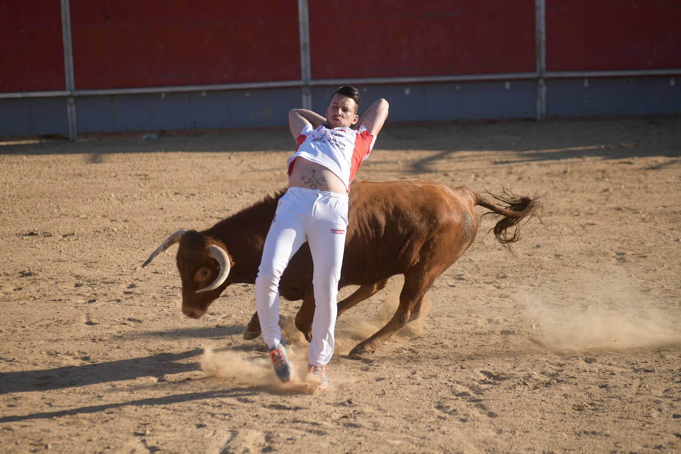 Fotos: Concurso de cortes en Matapozuelos