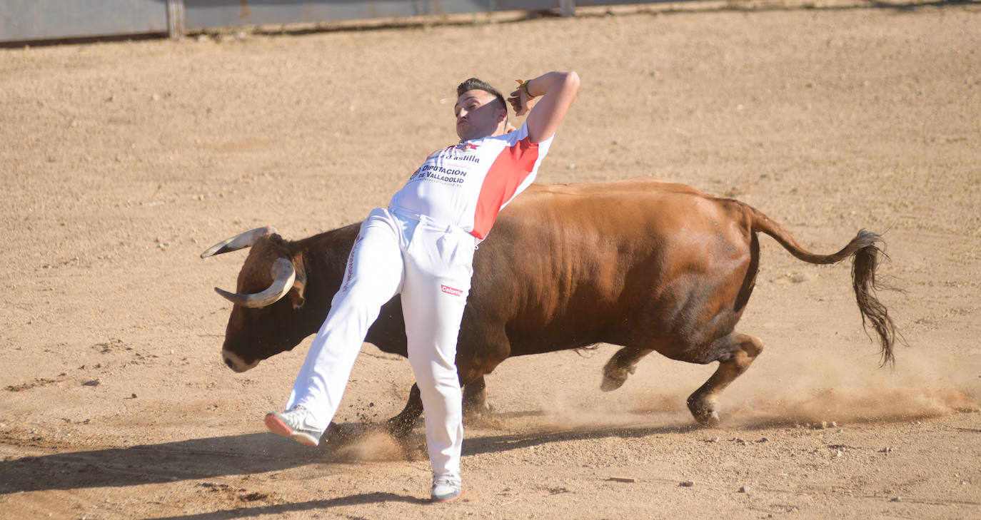 Fotos: Concurso de cortes en Matapozuelos