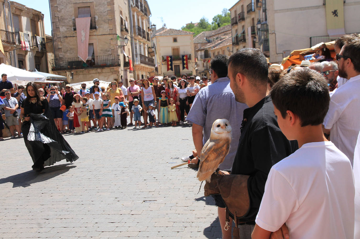 Fotos: Fiesta de los Fueros de Sepúlveda