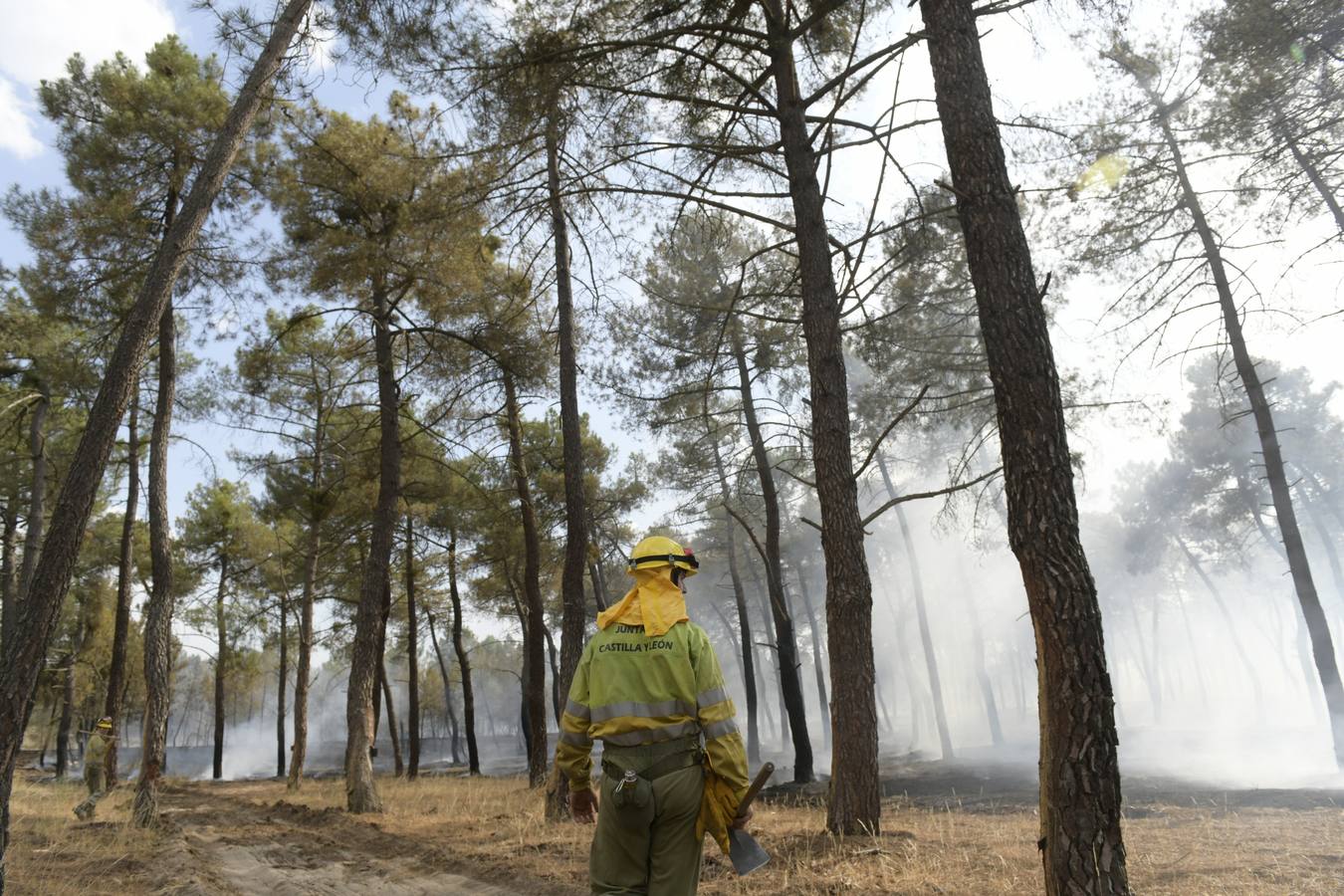 El incendio se ha declarado alrededor de las 15:00 horas en un pinar, en el área recreativa del Puente Hinojo.