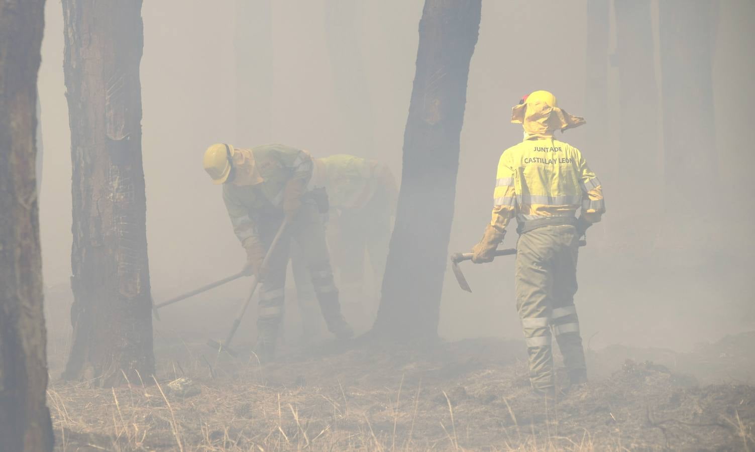 El incendio se ha declarado alrededor de las 15:00 horas en un pinar, en el área recreativa del Puente Hinojo.