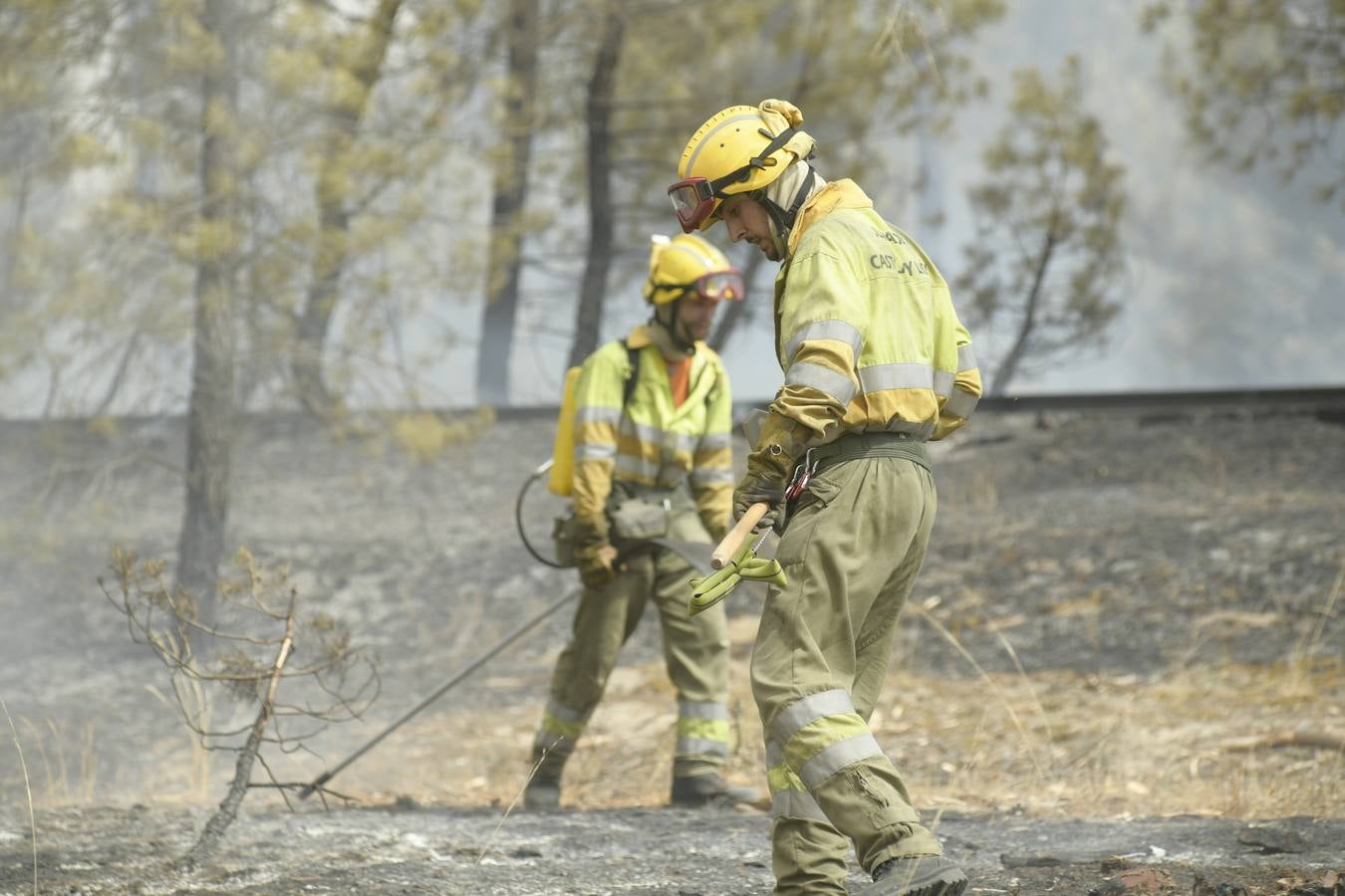 El incendio se ha declarado alrededor de las 15:00 horas en un pinar, en el área recreativa del Puente Hinojo.