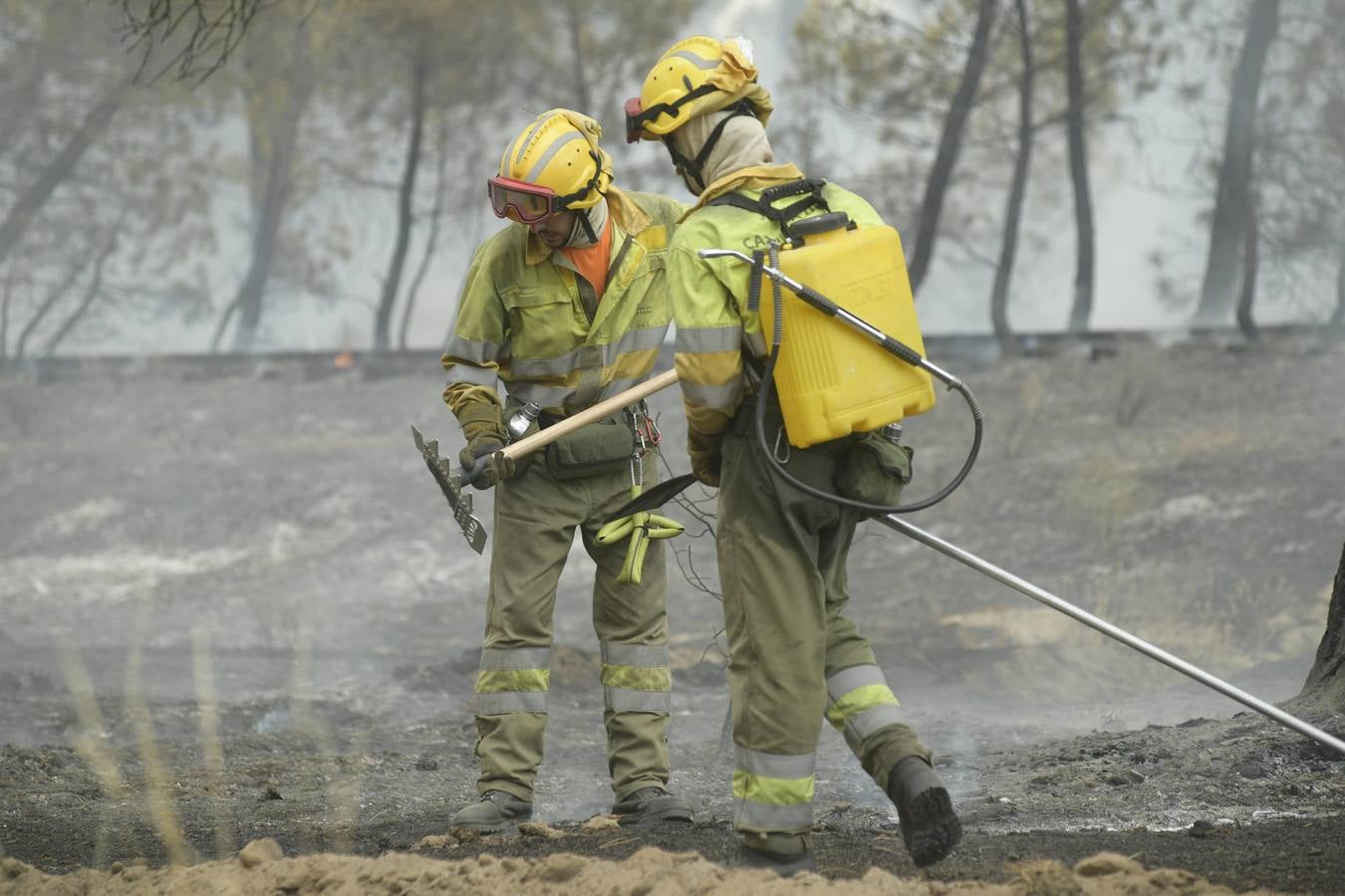 El incendio se ha declarado alrededor de las 15:00 horas en un pinar, en el área recreativa del Puente Hinojo.