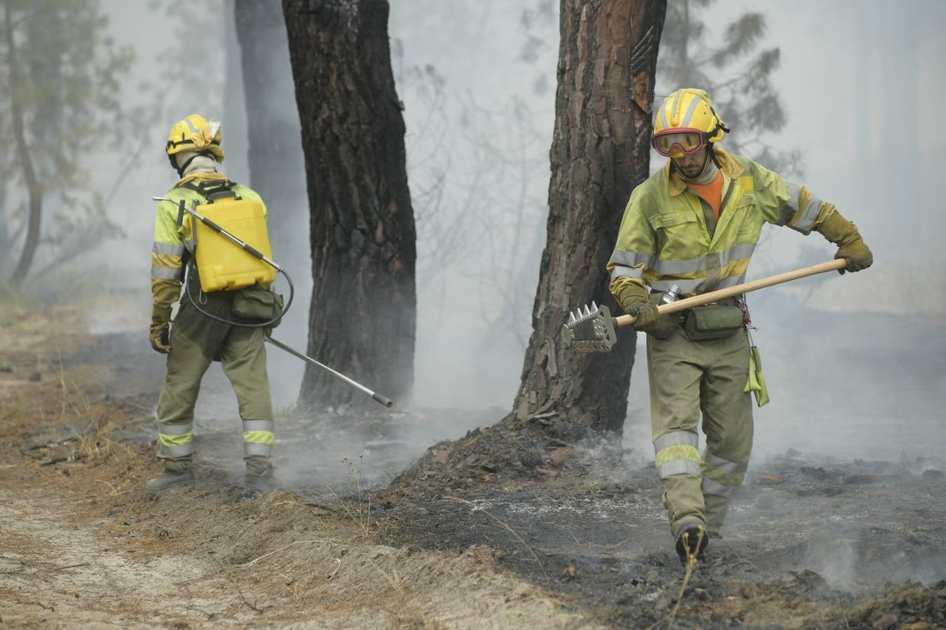 El incendio se ha declarado alrededor de las 15:00 horas en un pinar, en el área recreativa del Puente Hinojo.