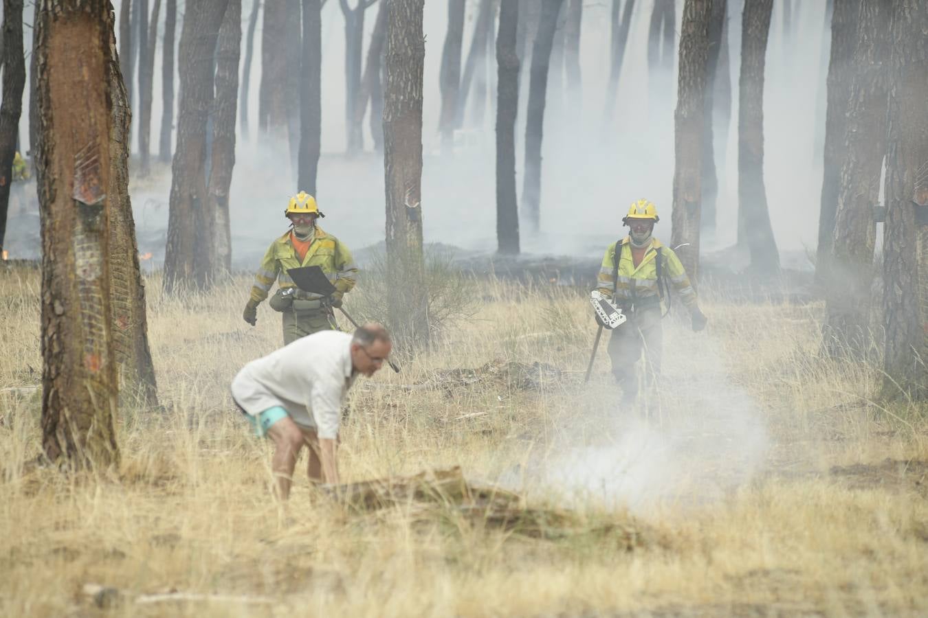 El incendio se ha declarado alrededor de las 15:00 horas en un pinar, en el área recreativa del Puente Hinojo.