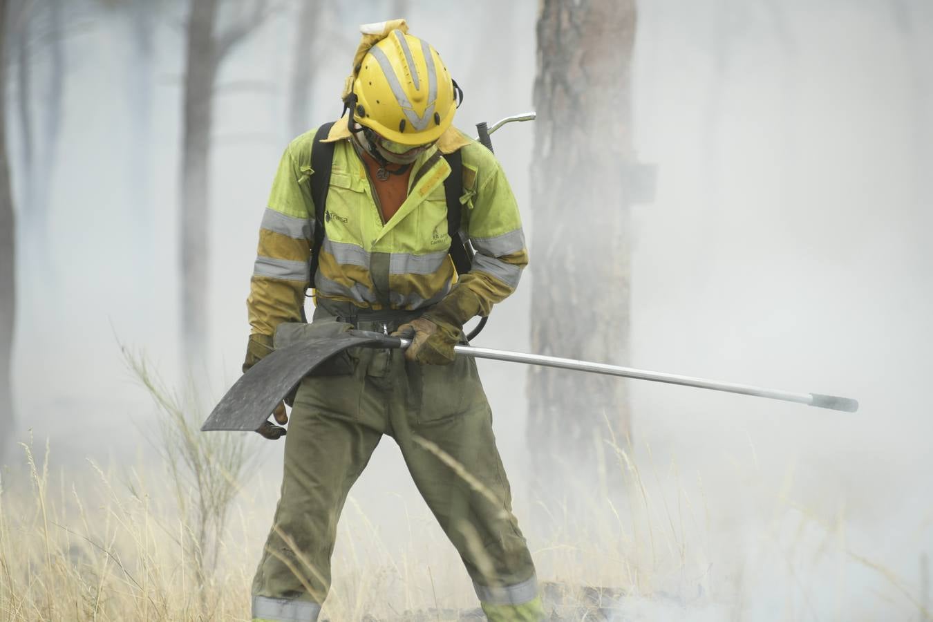 El incendio se ha declarado alrededor de las 15:00 horas en un pinar, en el área recreativa del Puente Hinojo.
