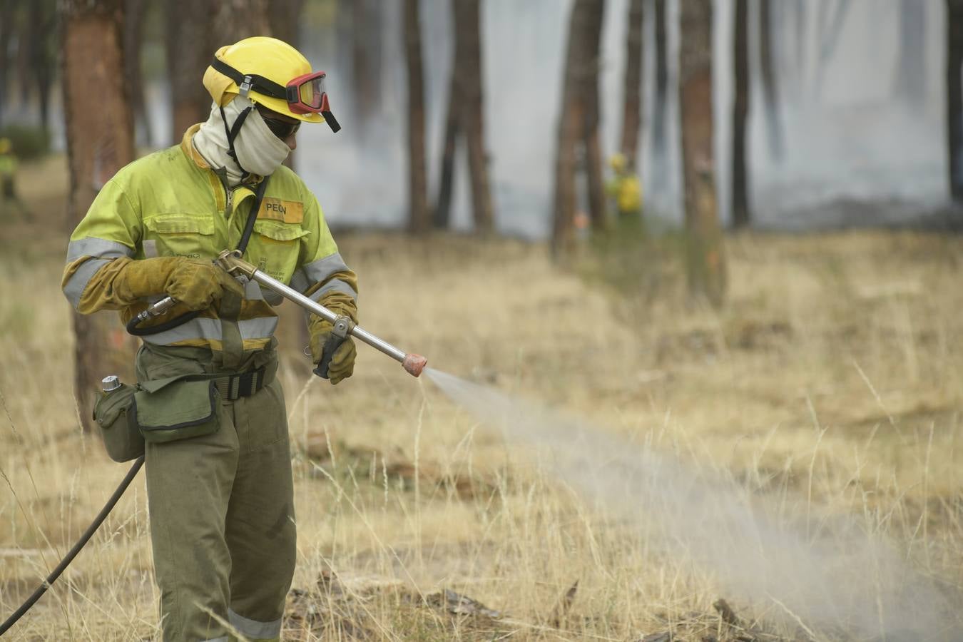 El incendio se ha declarado alrededor de las 15:00 horas en un pinar, en el área recreativa del Puente Hinojo.