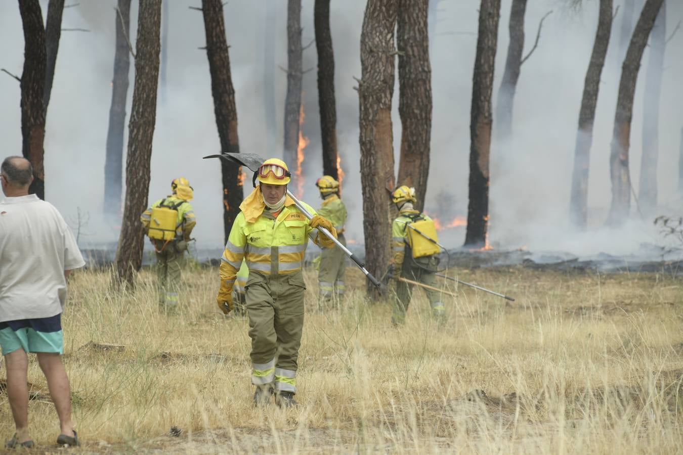 El incendio se ha declarado alrededor de las 15:00 horas en un pinar, en el área recreativa del Puente Hinojo.