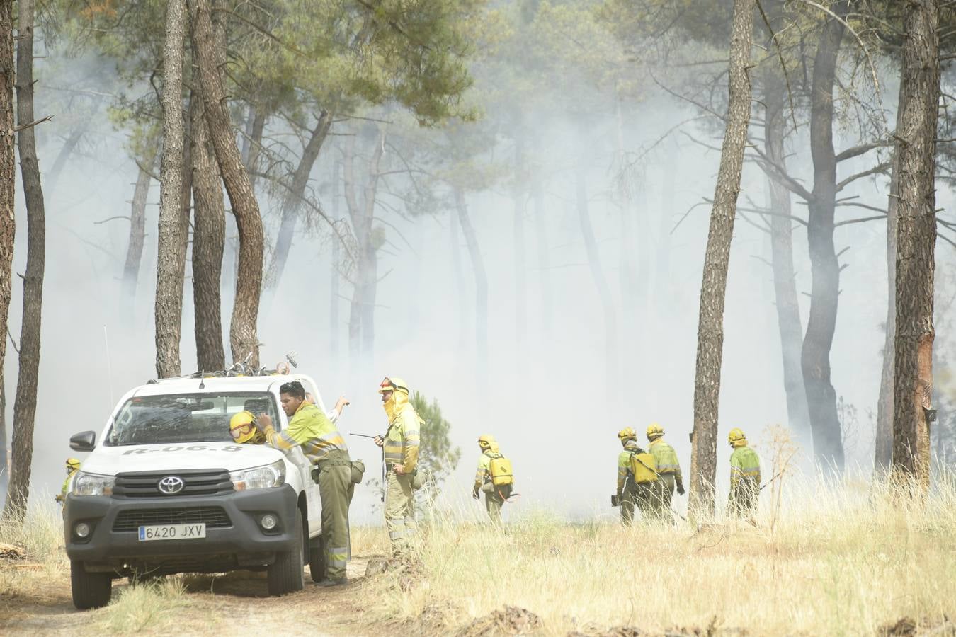 El incendio se ha declarado alrededor de las 15:00 horas en un pinar, en el área recreativa del Puente Hinojo.