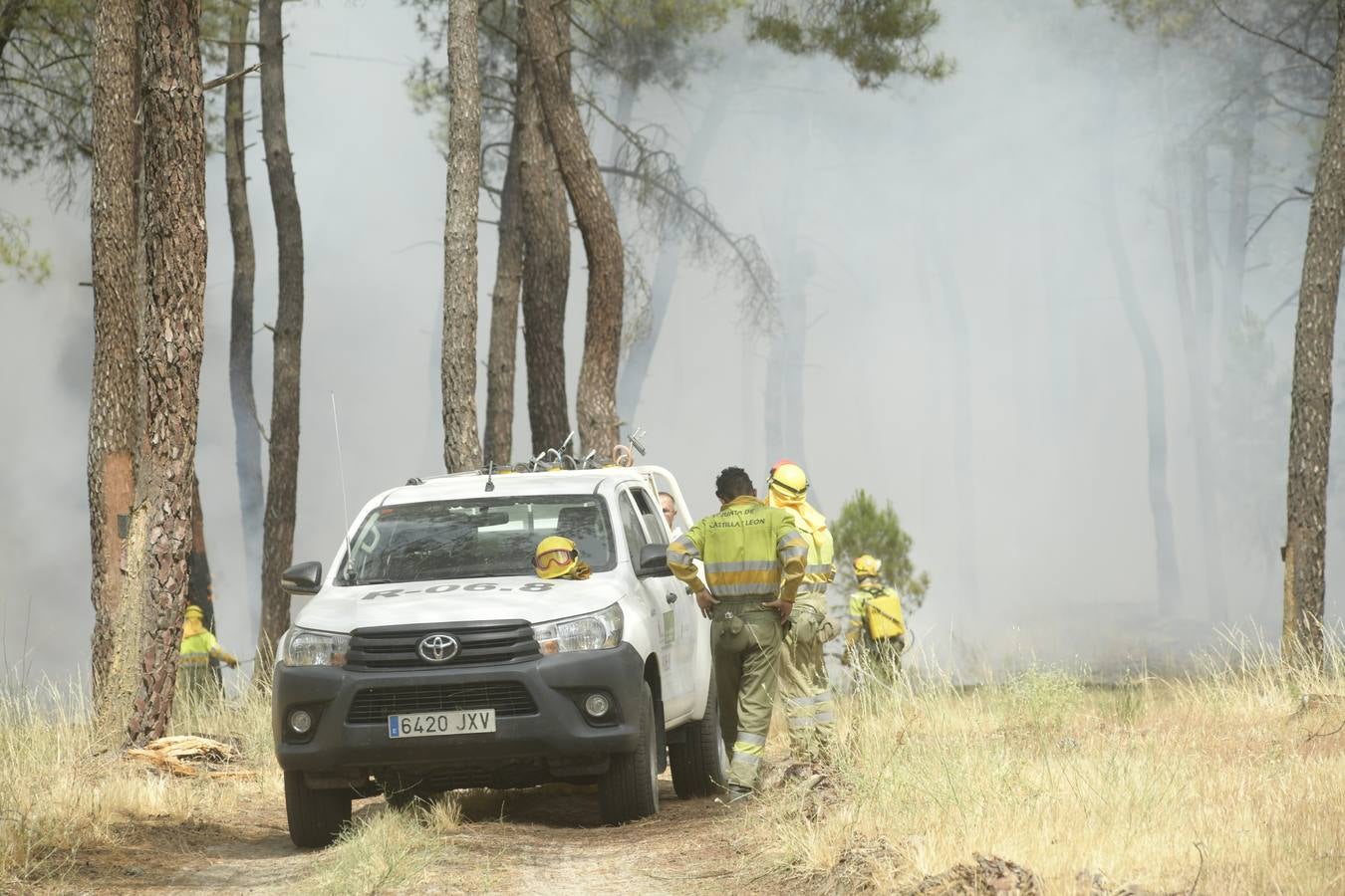 El incendio se ha declarado alrededor de las 15:00 horas en un pinar, en el área recreativa del Puente Hinojo.