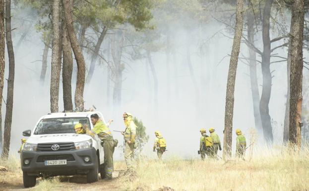 Galería. Incendio entre Traspindeo y Sardón.