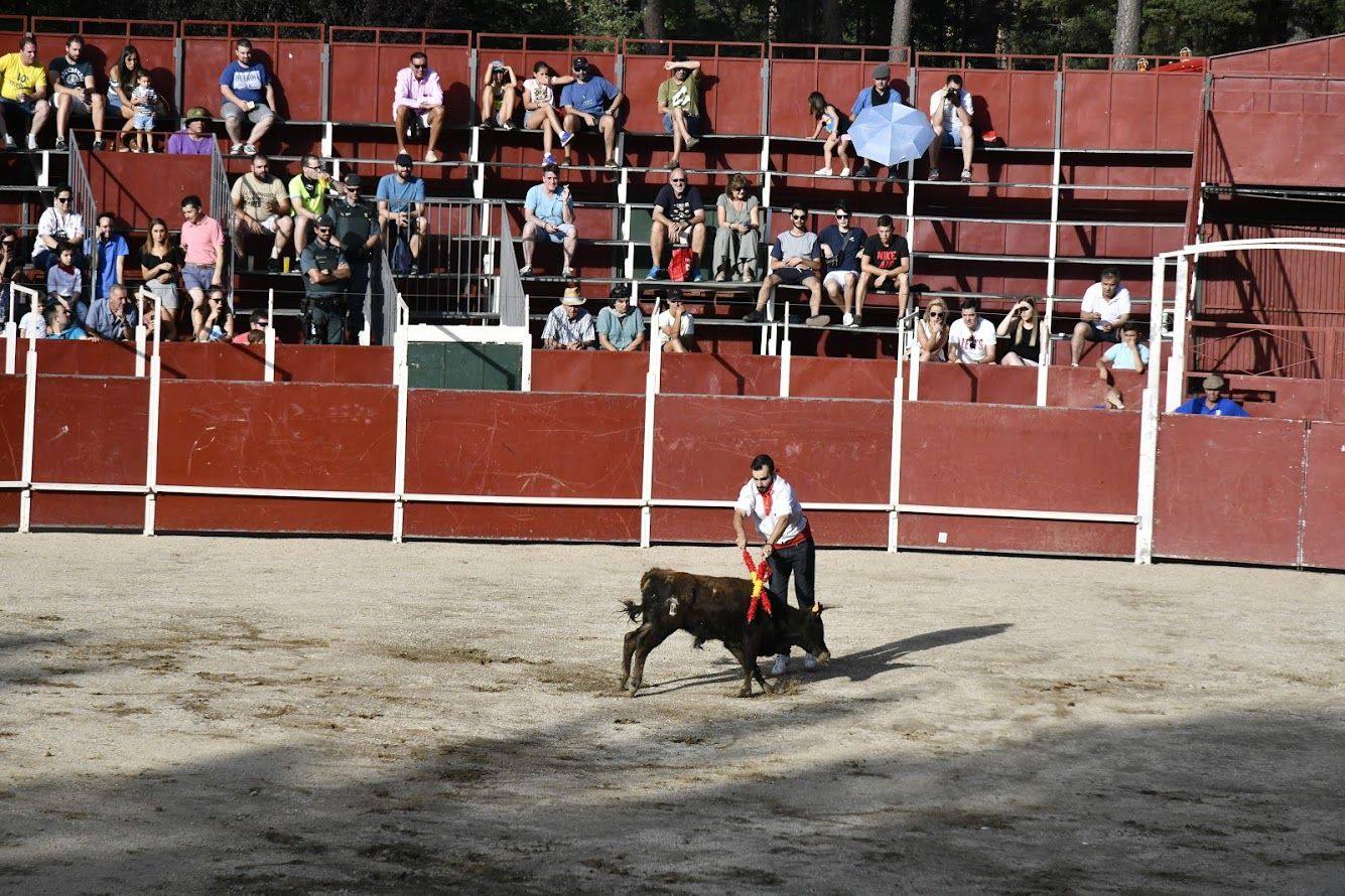 Fotos: Becerrada de la fiesta de los quintos en San Rafael