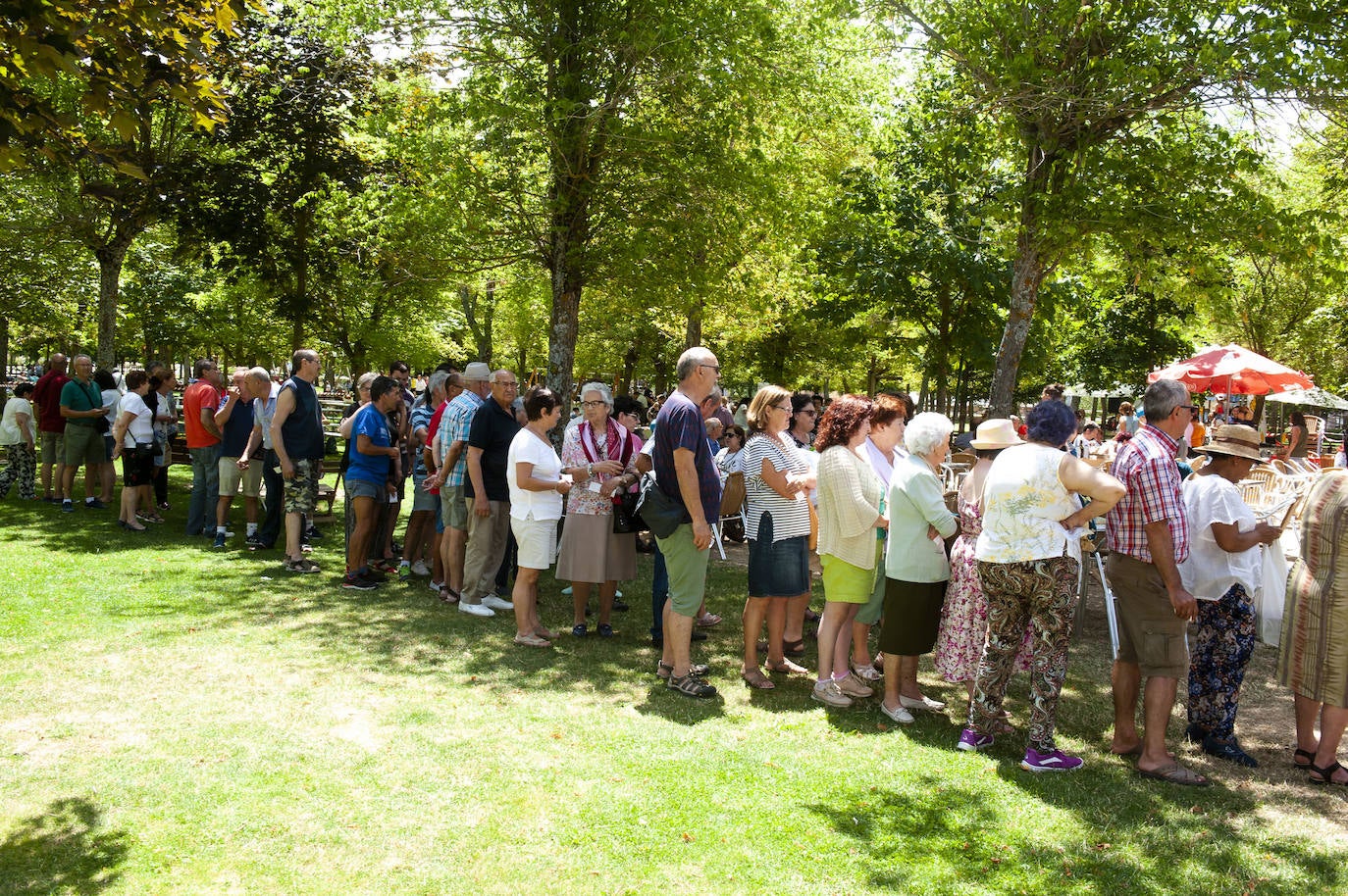 Fotos: Gran paella de Apadefim