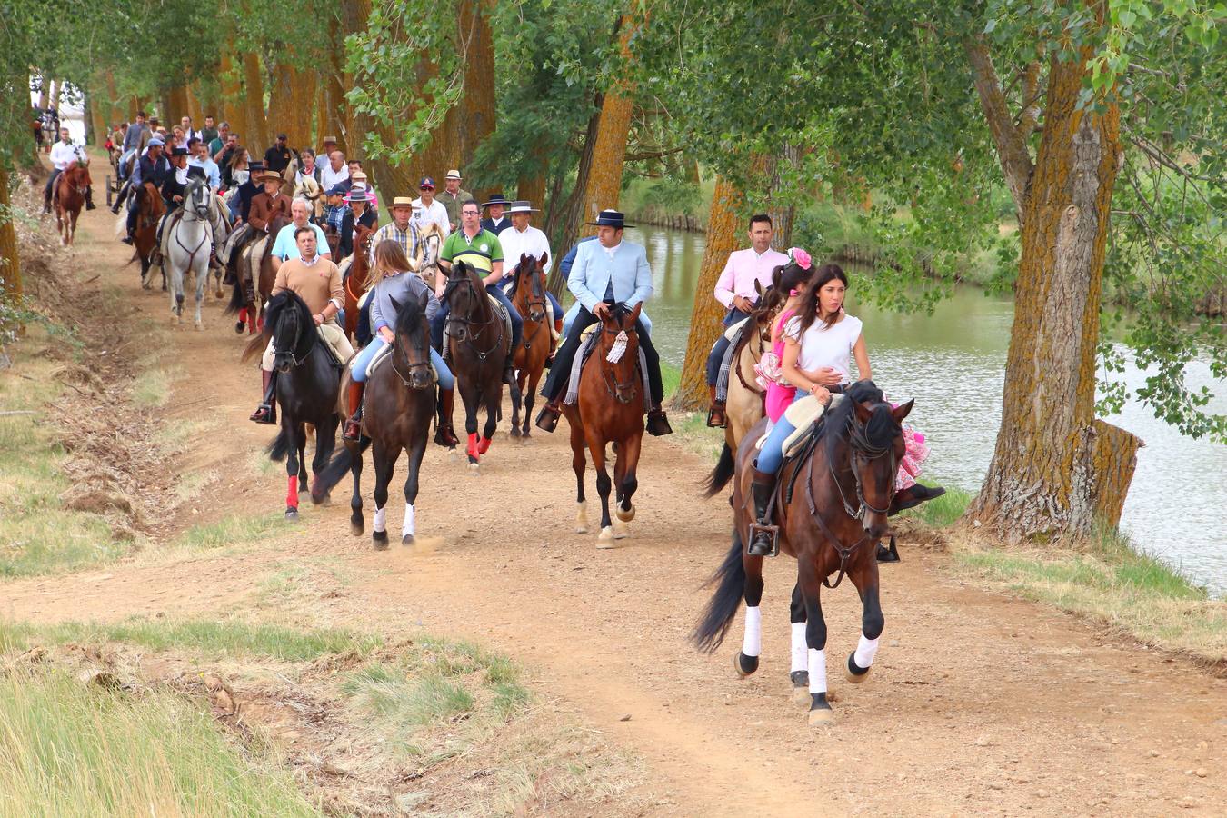 Fotos: Feria del Caballo de Medina de Rioseco