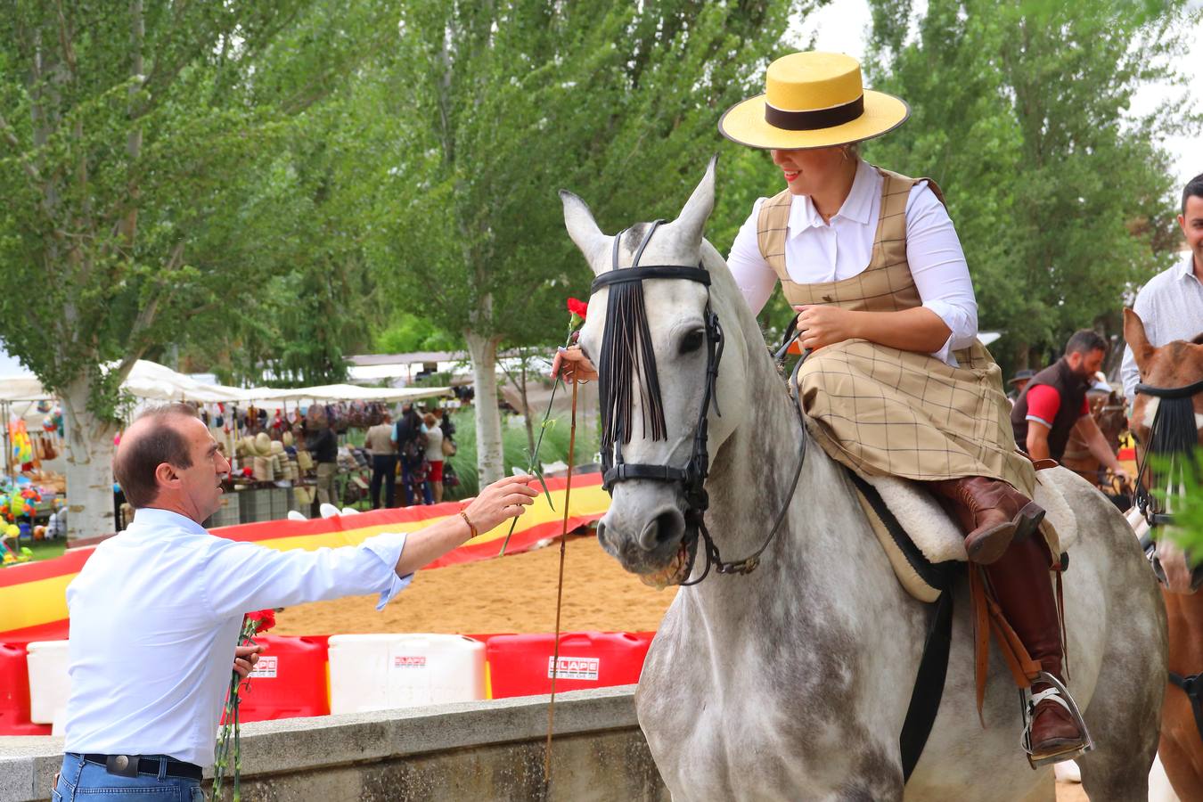 Fotos: Feria del Caballo de Medina de Rioseco