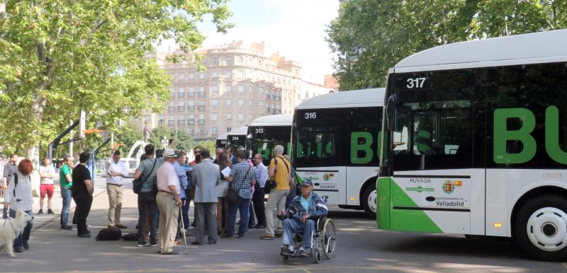 Fotos: Así son los seis nuevos autobuses que circularán por Valladolid