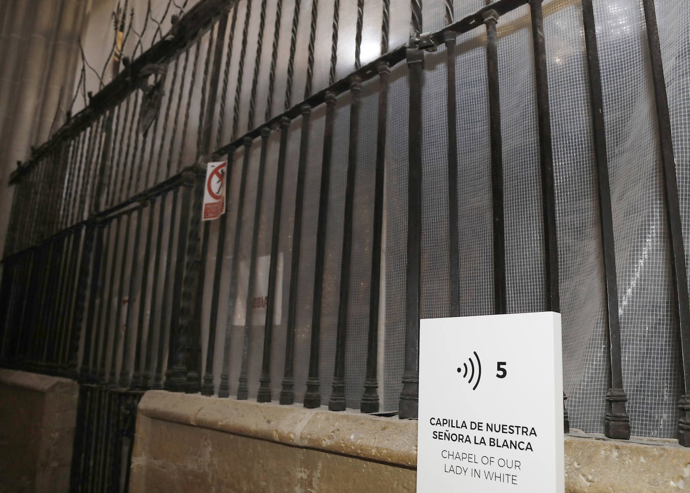 Fotos: Así es la catedral de Palencia vista desde sus obras