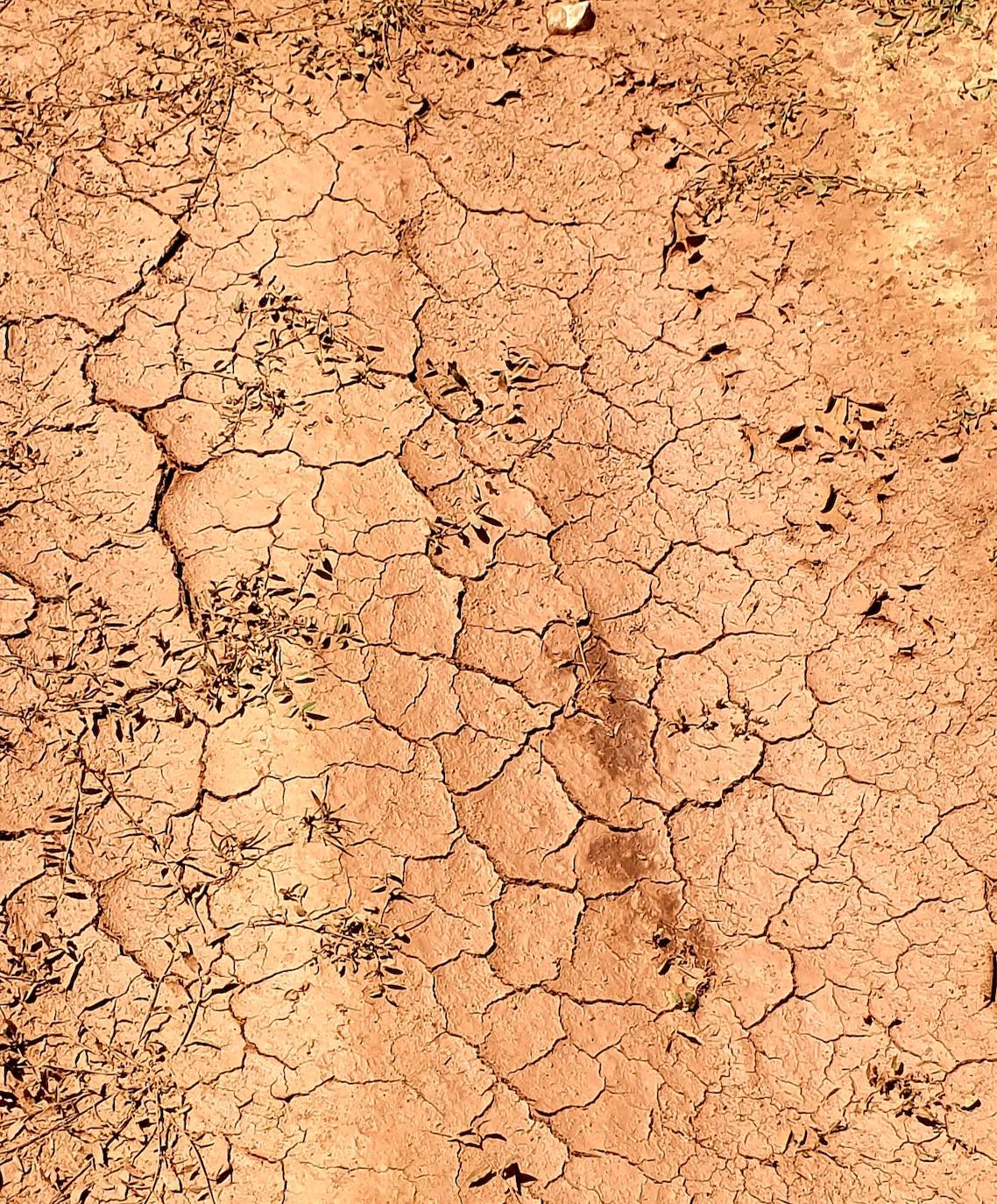 Fotos: La sequía produce estragos en el embalse de Aguilar de Campoo