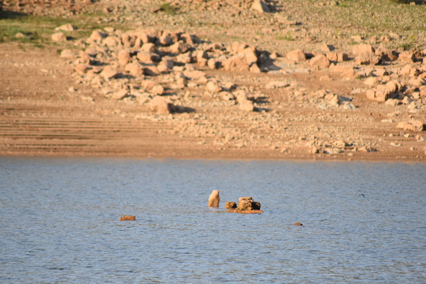 Fotos: La sequía produce estragos en el embalse de Aguilar de Campoo