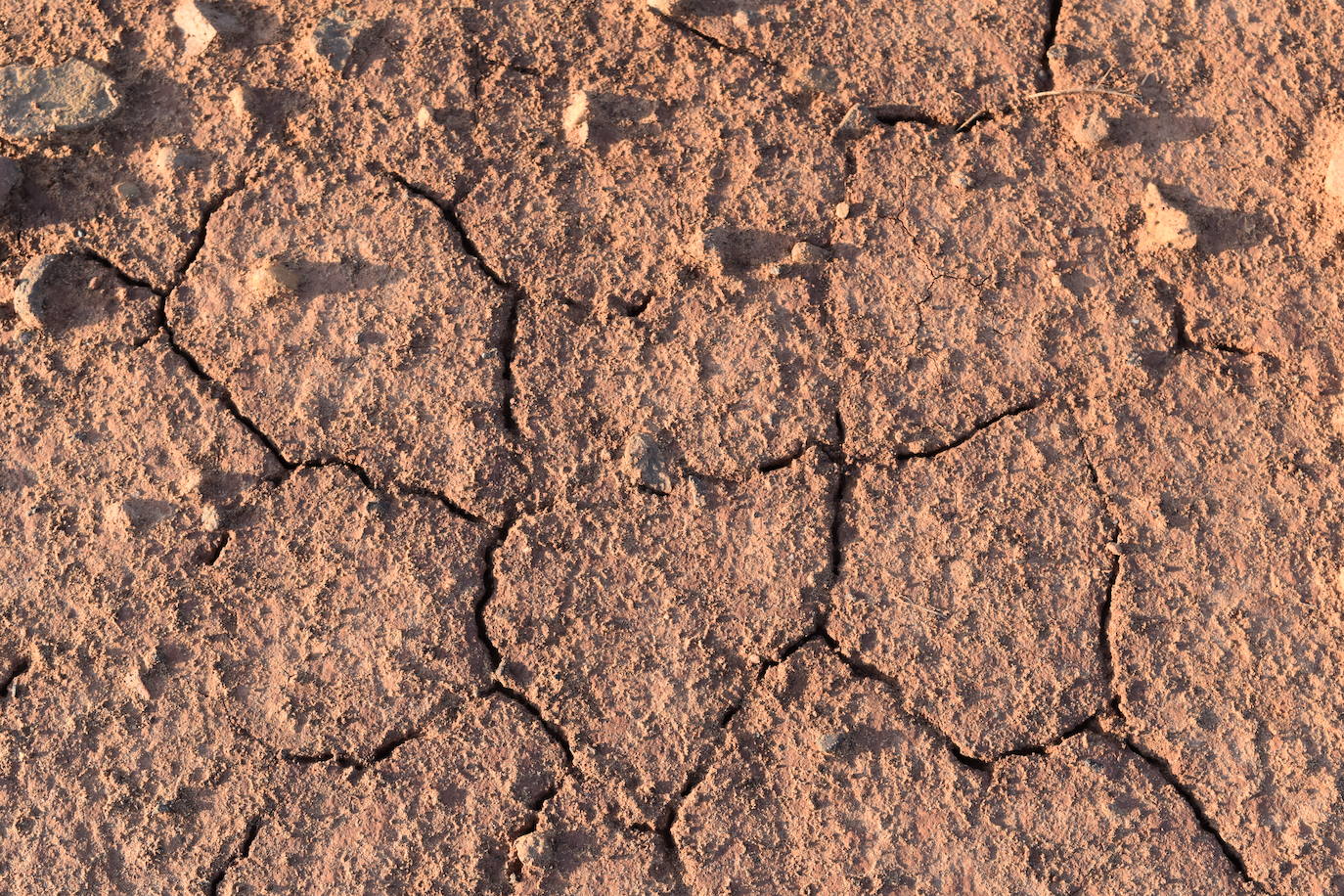 Fotos: La sequía produce estragos en el embalse de Aguilar de Campoo