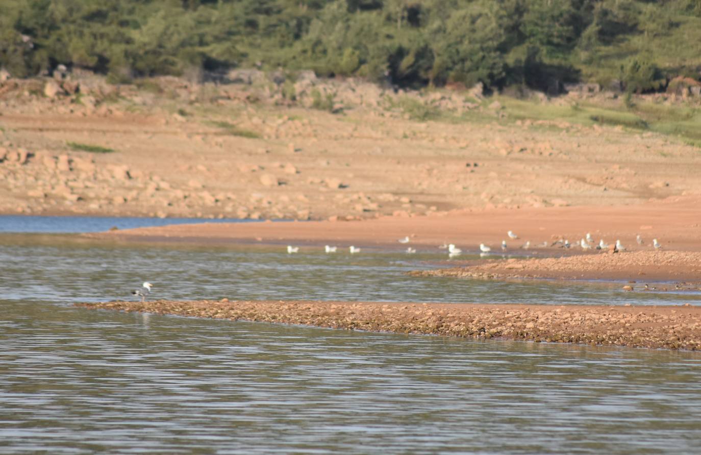 Fotos: La sequía produce estragos en el embalse de Aguilar de Campoo