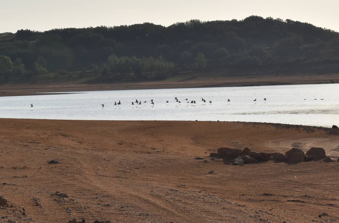Fotos: La sequía produce estragos en el embalse de Aguilar de Campoo