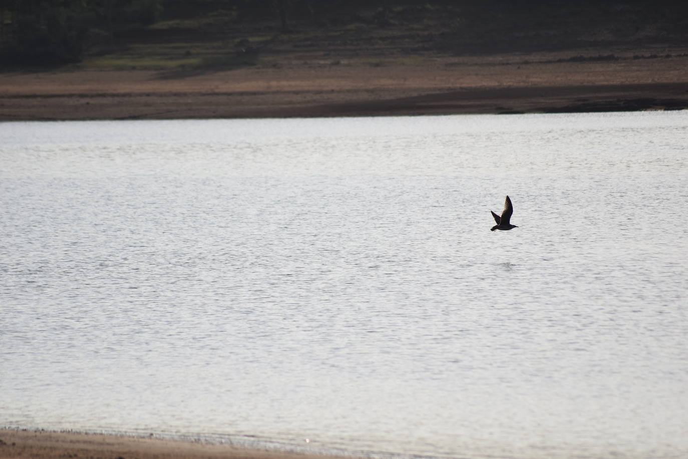Fotos: La sequía produce estragos en el embalse de Aguilar de Campoo
