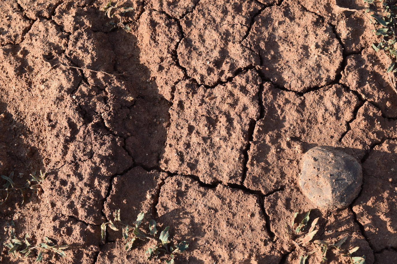 Fotos: La sequía produce estragos en el embalse de Aguilar de Campoo