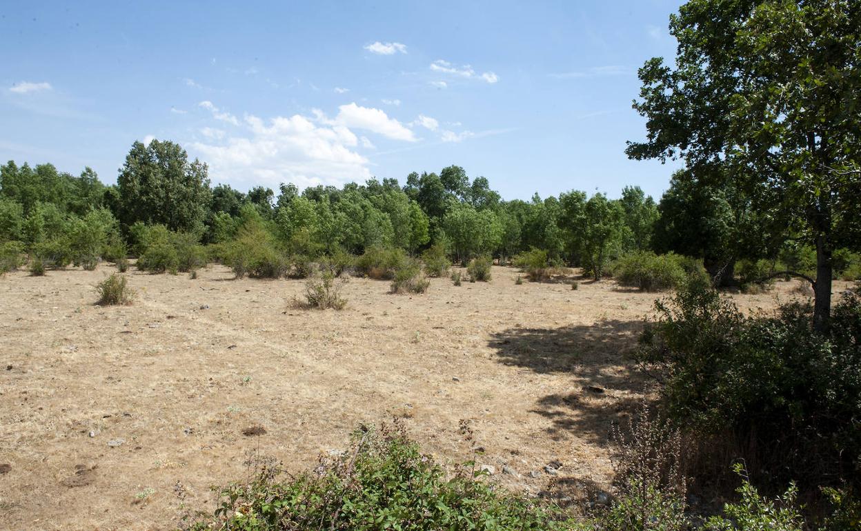 Paraje natural en las inmediaciones de Sotosalbos donde se quiere ejecutar el proyecto.