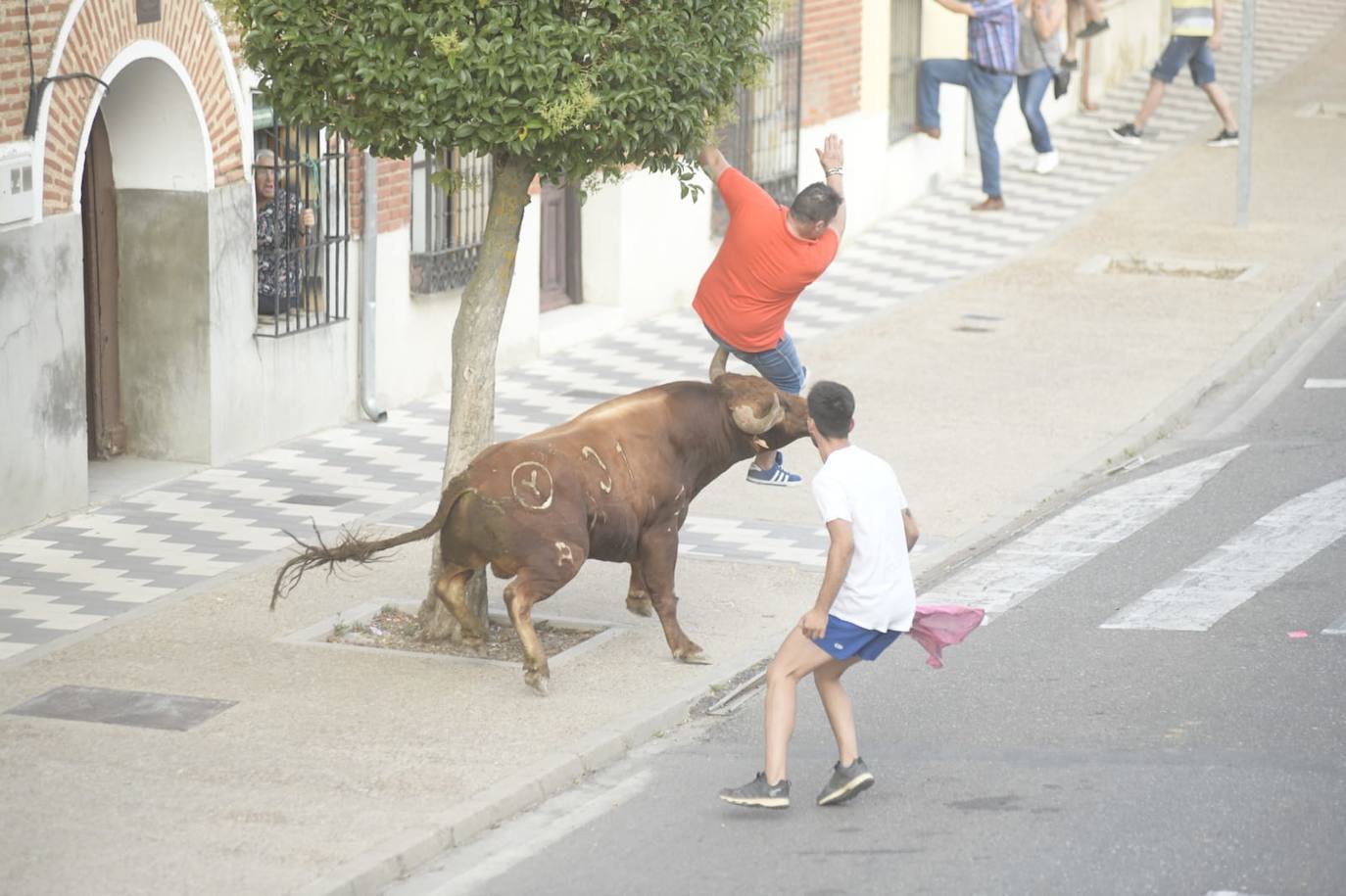 Un vecino de La Seca -F. S. de 45 años- ha resultado herido grave tras ser corneado en el encierro celebrado este sábado