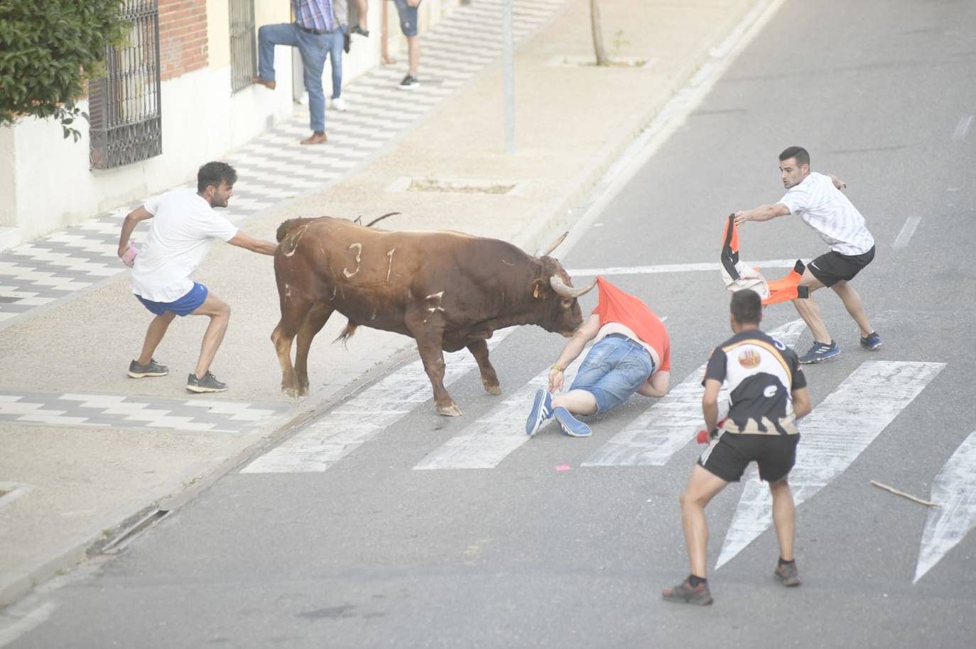 Un vecino de La Seca -F. S. de 45 años- ha resultado herido grave tras ser corneado en el encierro celebrado este sábado