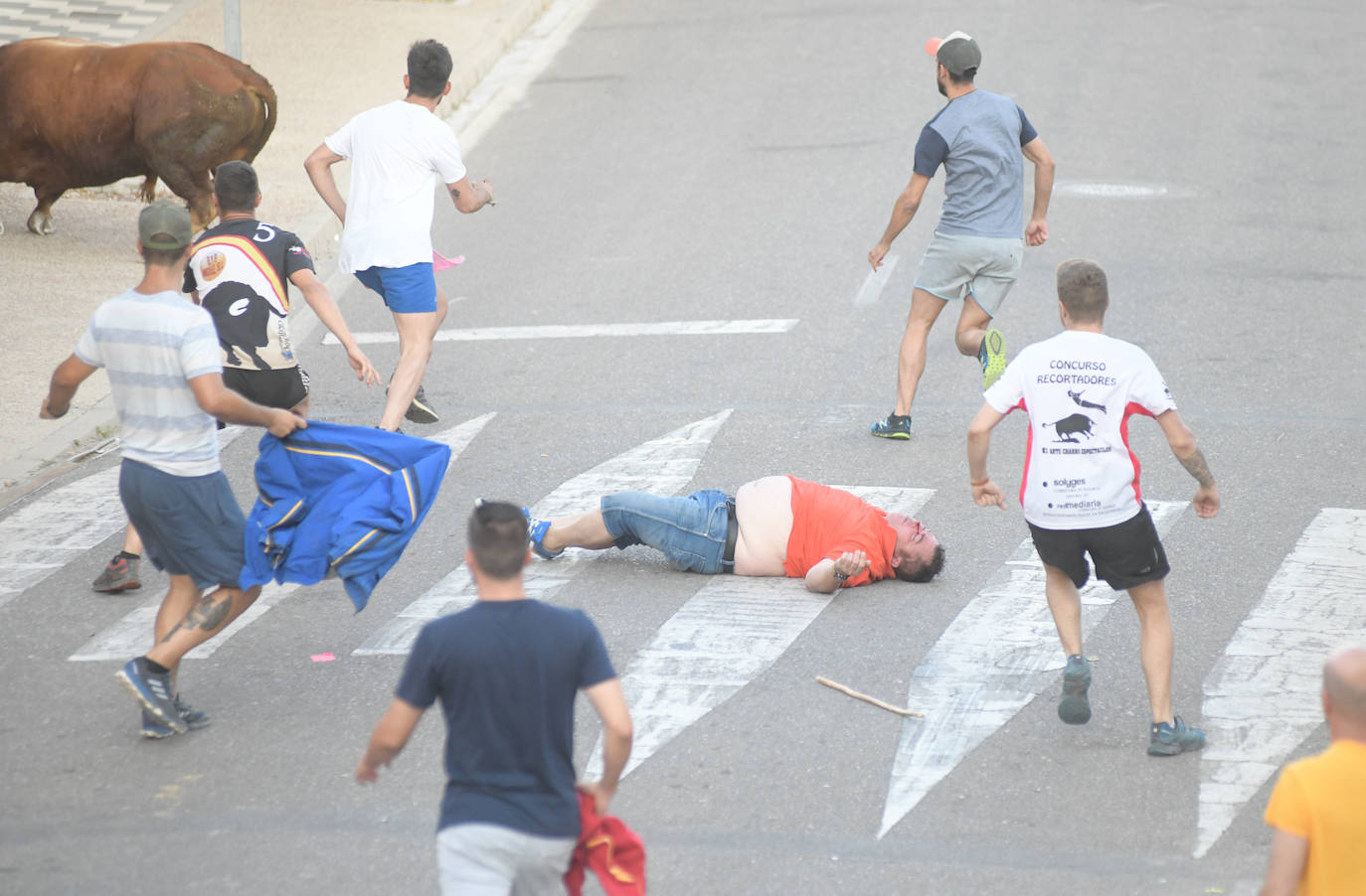 Un vecino de La Seca -F. S. de 45 años- ha resultado herido grave tras ser corneado en el encierro celebrado este sábado