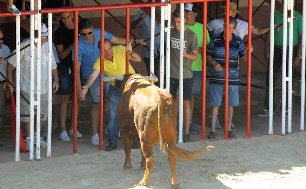 Encierros en La Seca.