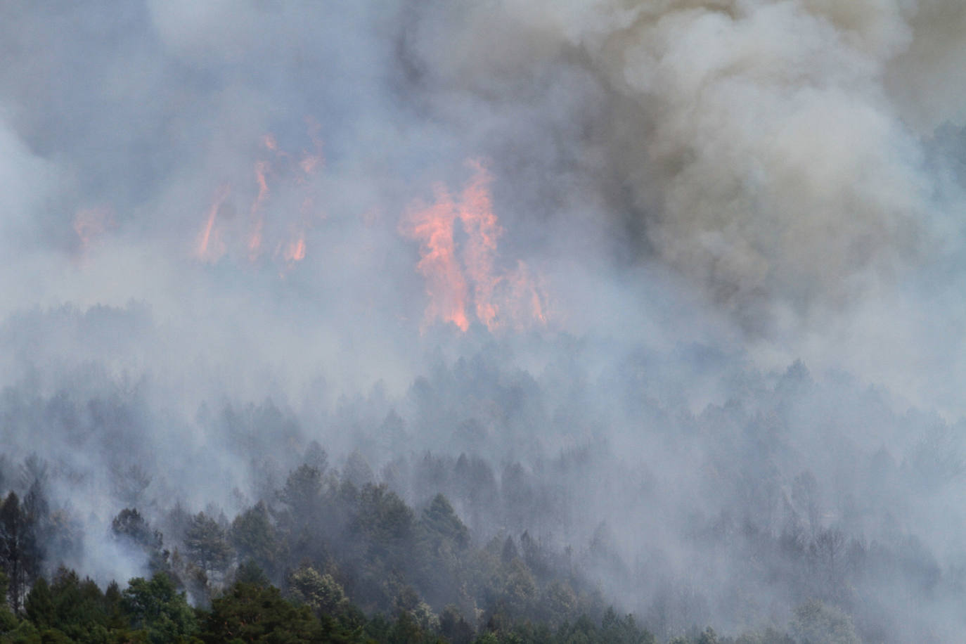 Fotos: LAS LLAMAS DEVORAN GUADARRAMA