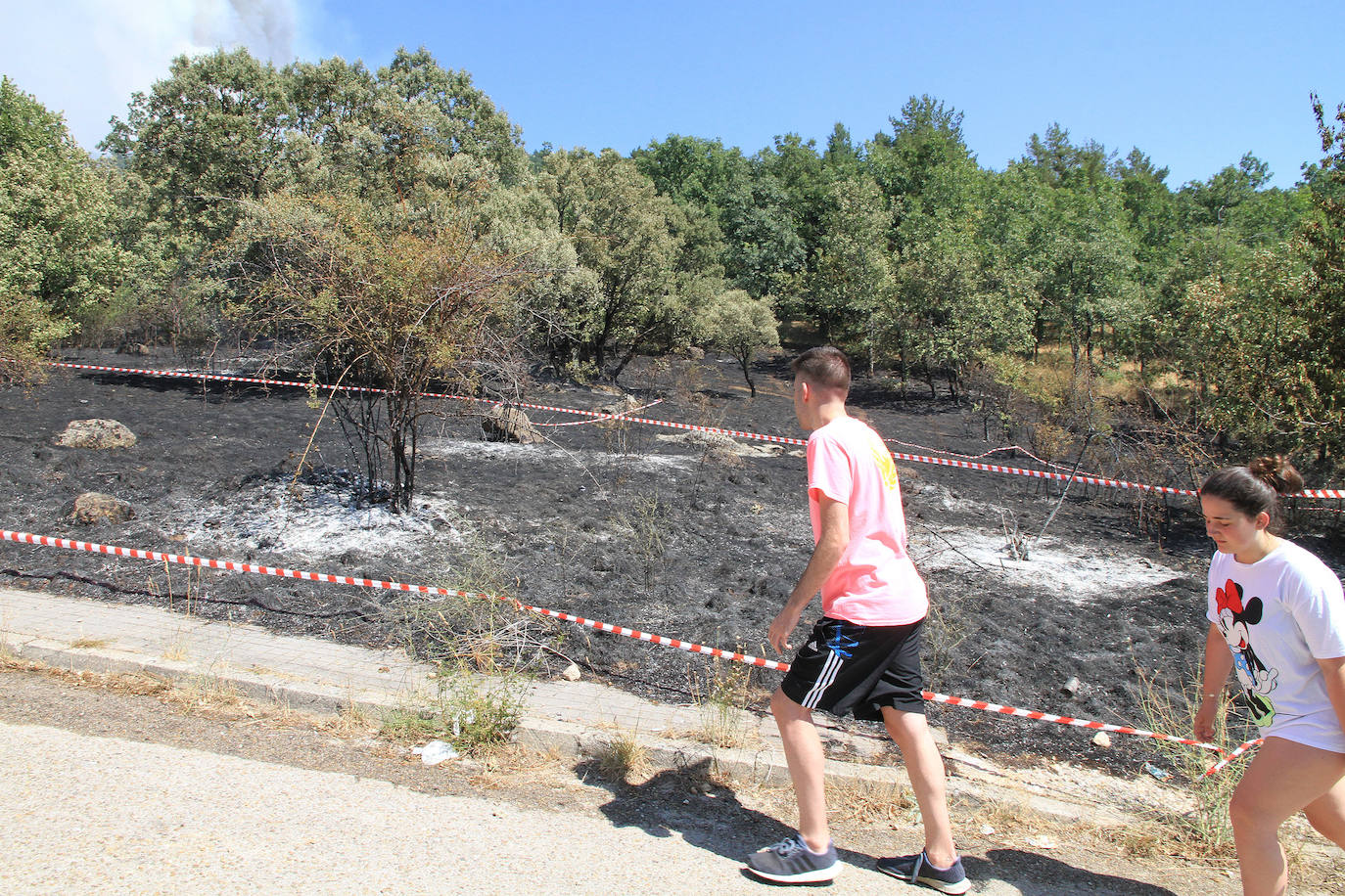 Fotos: LAS LLAMAS DEVORAN GUADARRAMA