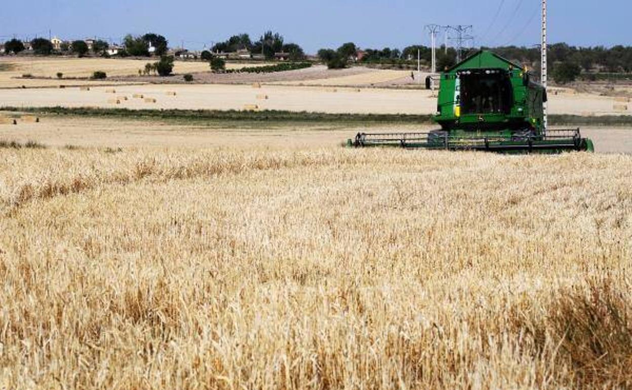 Recolección de la cosecha en Soria.