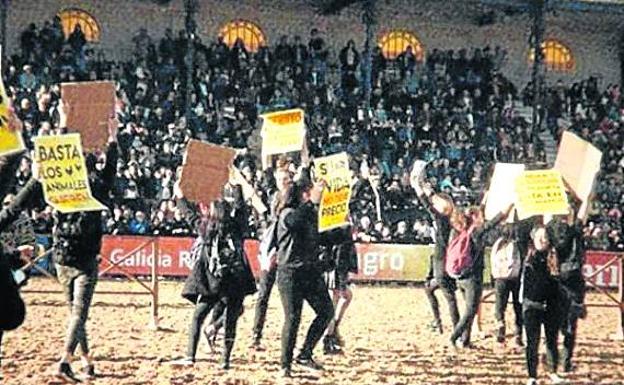 la acción vegana en la Exposición Rural que enfureció a los gauchos.