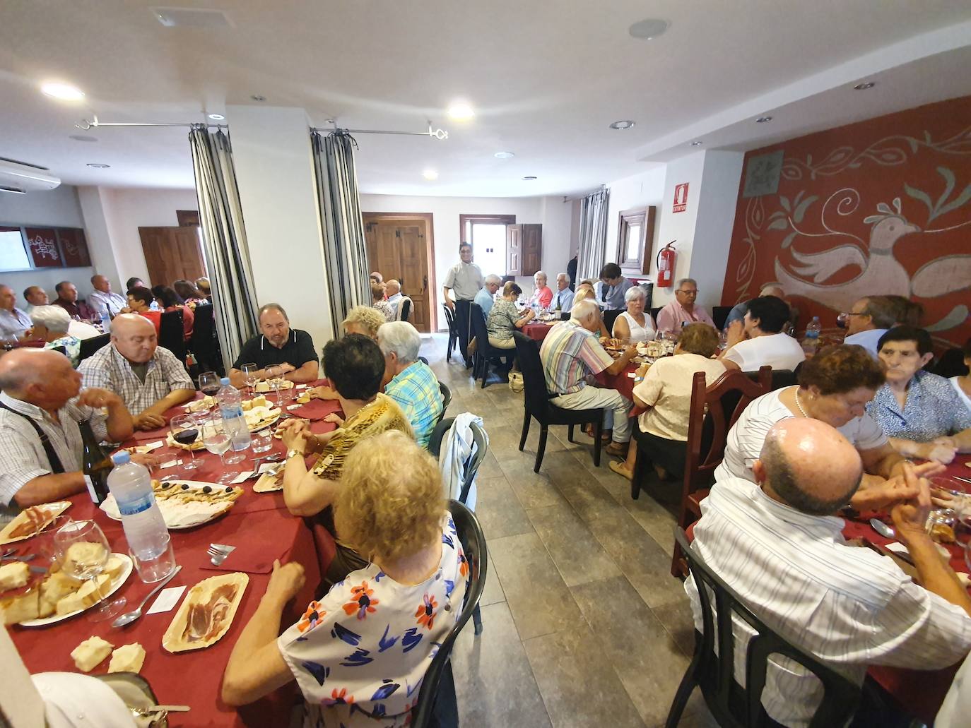 Fotos: Fiesta de mayores de San Martín de Castañar