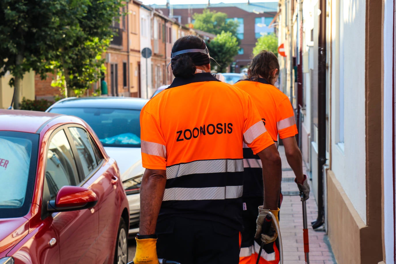 Organizados en equipos de tres miembros con turnos rotativos, debido al desgaste de la actividad, la brigada planifica el despliegue de su campaña en relación a las denuncias recogidas por el teléfono de atención al ciudadano 010 y la observación directa de sus operarios.