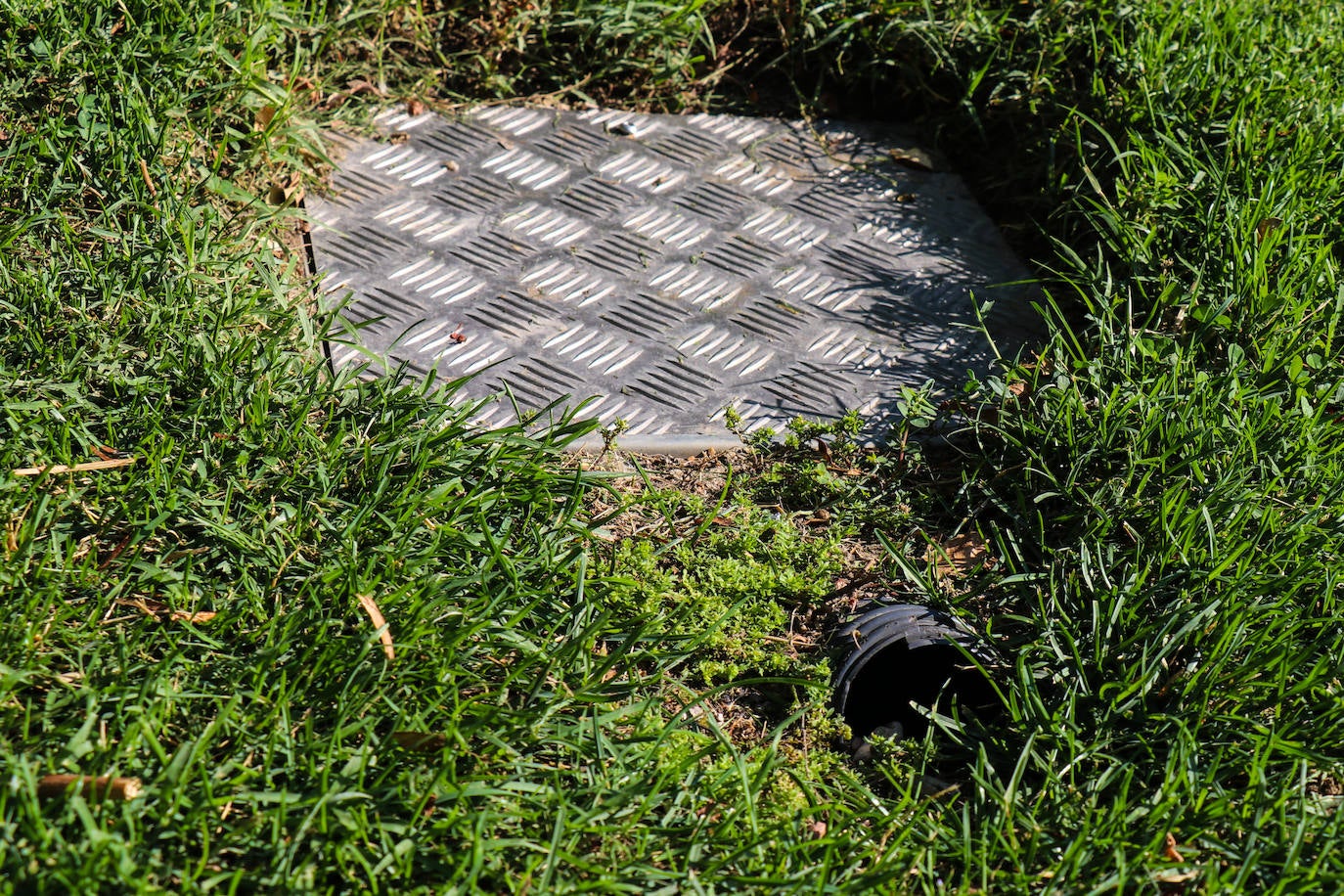 Organizados en equipos de tres miembros con turnos rotativos, debido al desgaste de la actividad, la brigada planifica el despliegue de su campaña en relación a las denuncias recogidas por el teléfono de atención al ciudadano 010 y la observación directa de sus operarios.