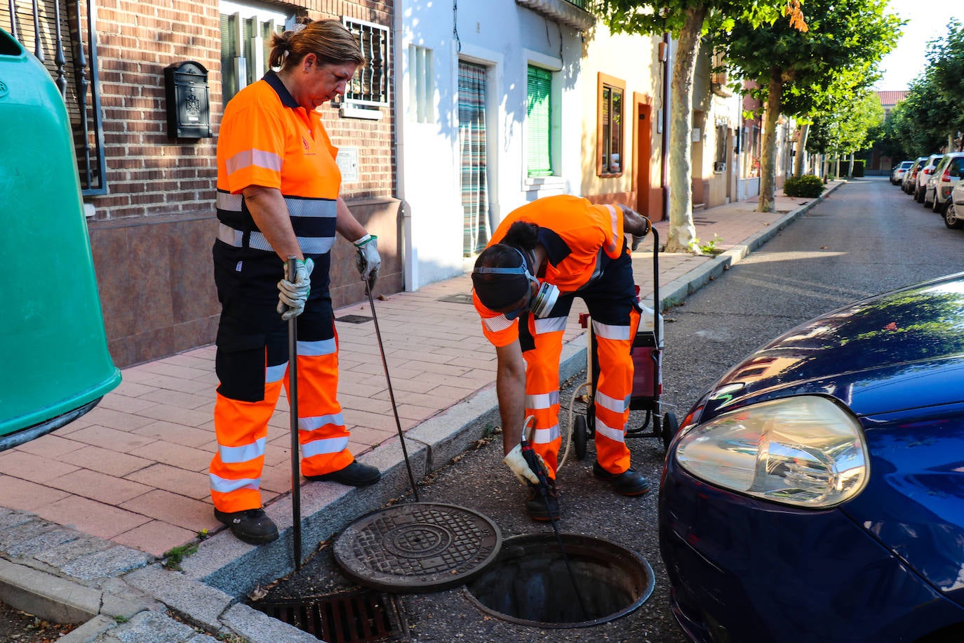Organizados en equipos de tres miembros con turnos rotativos, debido al desgaste de la actividad, la brigada planifica el despliegue de su campaña en relación a las denuncias recogidas por el teléfono de atención al ciudadano 010 y la observación directa de sus operarios.