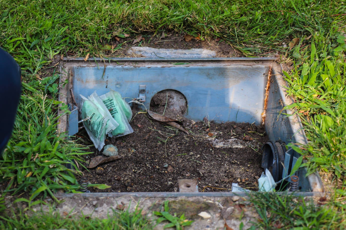 Organizados en equipos de tres miembros con turnos rotativos, debido al desgaste de la actividad, la brigada planifica el despliegue de su campaña en relación a las denuncias recogidas por el teléfono de atención al ciudadano 010 y la observación directa de sus operarios.