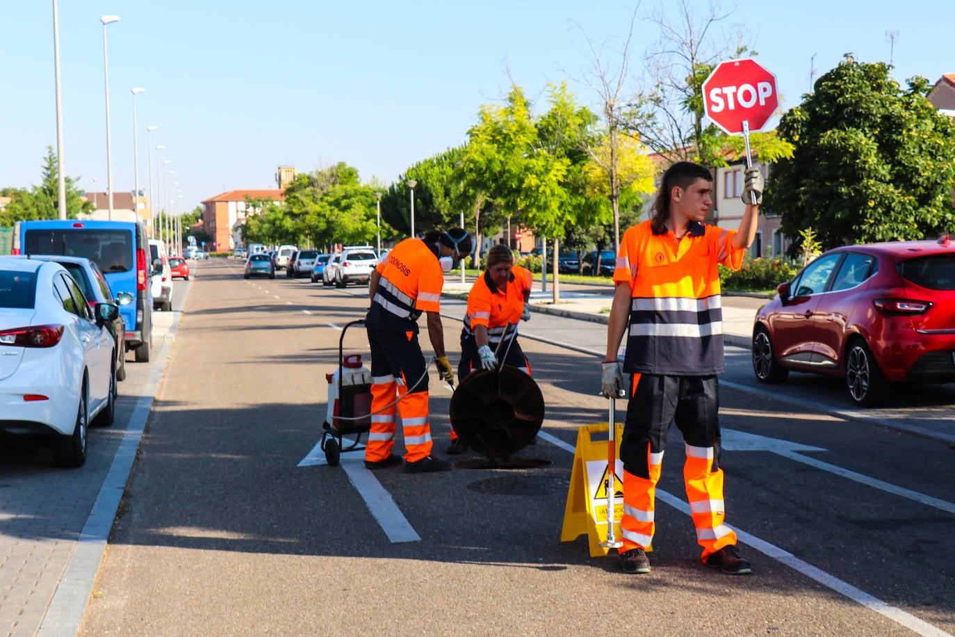 Organizados en equipos de tres miembros con turnos rotativos, debido al desgaste de la actividad, la brigada planifica el despliegue de su campaña en relación a las denuncias recogidas por el teléfono de atención al ciudadano 010 y la observación directa de sus operarios.