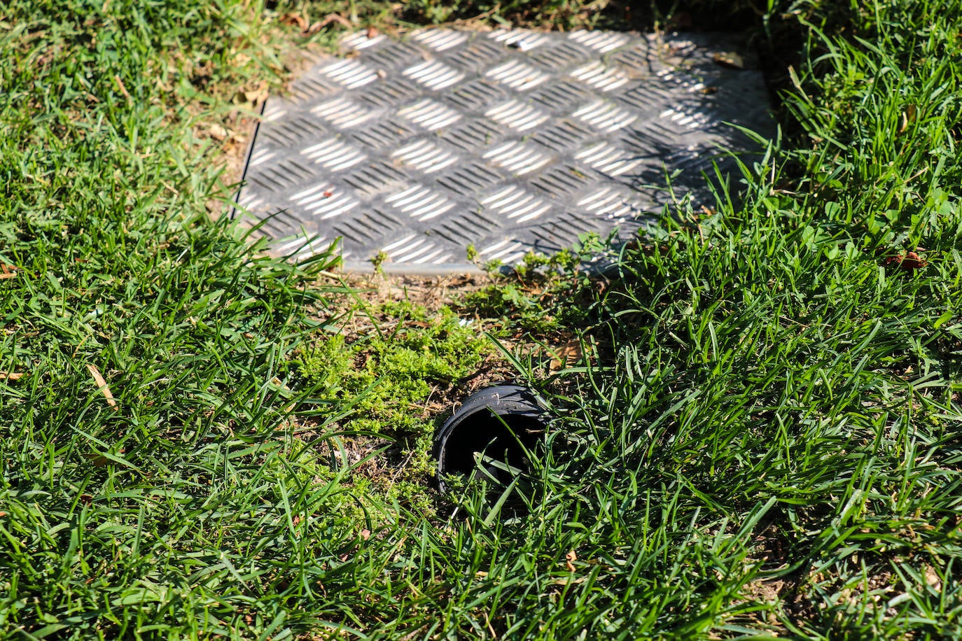 Organizados en equipos de tres miembros con turnos rotativos, debido al desgaste de la actividad, la brigada planifica el despliegue de su campaña en relación a las denuncias recogidas por el teléfono de atención al ciudadano 010 y la observación directa de sus operarios.