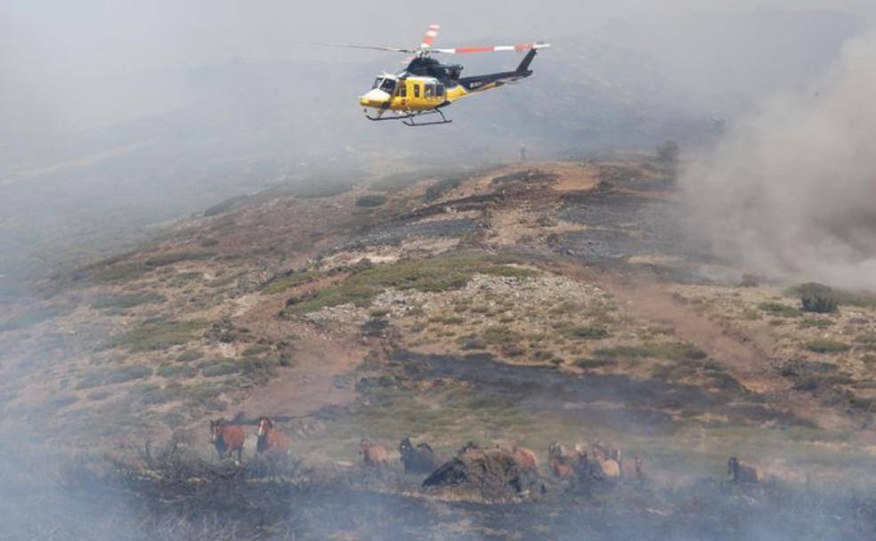 Ciro Muñoz cambia la trayectoria de su helicóptero para evitar que los caballos irrumpan en las llamas del incendio de Guadarrama. 